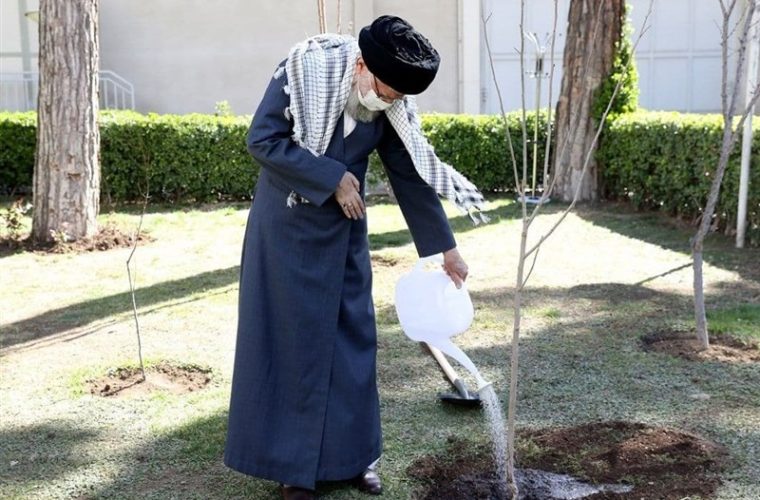 کاشت نهال توسط رهبر انقلاب به‌مناسبت روز درختکاری