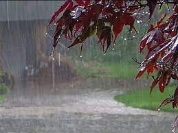 هواشناسی ایران ۱۴۰۱/۰۸/۲۱؛ بارش بارن و برف ۵ روزه در ۲۱ استان/هشدار تشدید فعالیت سامانه بارشی در ۵ استان