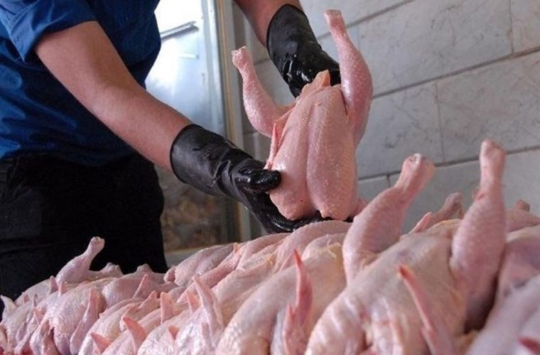 قیمت گوشت مرغ به ثبات رسید