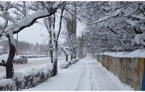 هواشناسی ایران ۸ دی ۱۴۰۳: ۲۰ استان سفیدپوش شدند/ سفر غیرضروری ممنوع